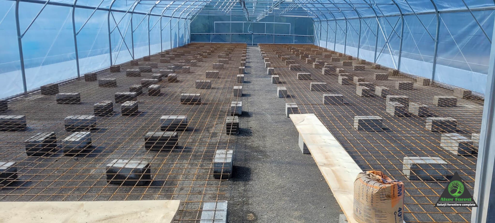Pepiniera molid containerizat la OS Zetea Pepiniera molid containerizat la OS Zetea
