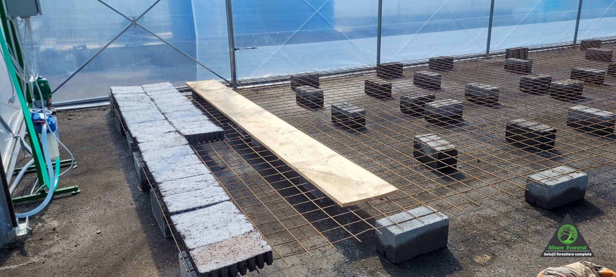 Pepiniera molid containerizat la OS Zetea Pepiniera molid containerizat la OS Zetea