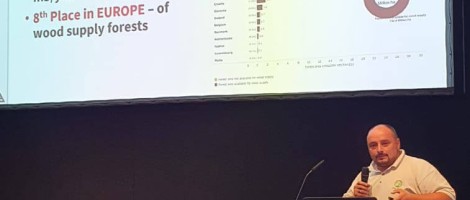 Potentialul sectorului forestier din Romania