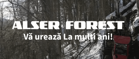 Craciun Fericit si An Nou Excelent!