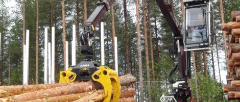 Macarale Kesla in oferta Alser Forest