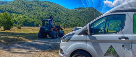 Alser Forest aduce forwardere pentru orice buget.