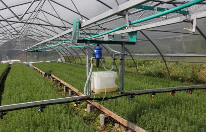 Rezultate după un singur sezon de vegetație cu sistemul Alser Forest