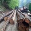 Skidder NOE NF160-4R livrat in Bihor