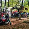 Alser Forest la Austrofoma 2019