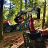 Alser Forest la Austrofoma 2019