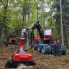 Alser Forest la Austrofoma 2019